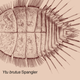 Illustration for article titled What are the very punniest scientific names?